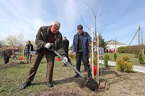 Мясникович заложил Аллею Памяти на малой родине в Снове