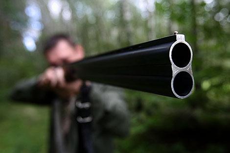 Охота на лося, оленя благородного и лань начинается в Беларуси