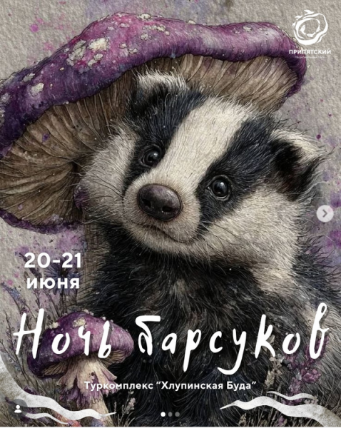 Квест, экскурсии по лесу, пикник у костра. Фестиваль 