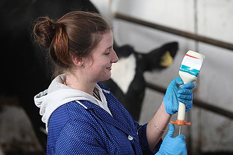 Ученые БГУ разработали биопрепарат для лечения вирусных инфекций у животных