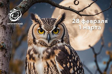 Услышать лес, испечь блины на дровяных свечах. 