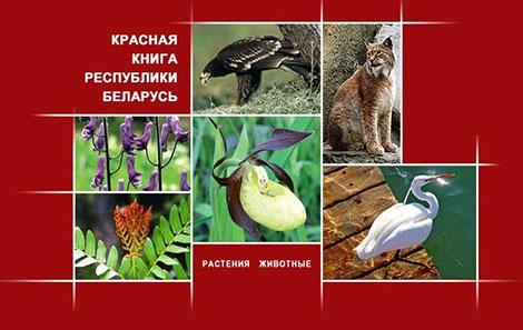 45 лет Красной книге Беларуси