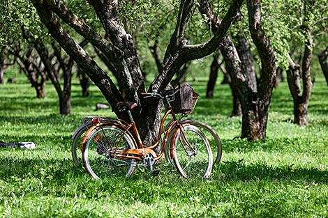 Студентка БГУ разработала велосипедные маршруты по национальному парку 