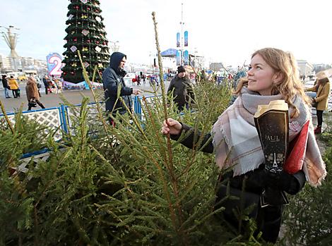 Более 1 100 елочных базаров будут работать в Беларуси