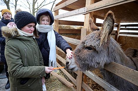 Живой рождественский вертеп появился у Коложской церкви в Гродно