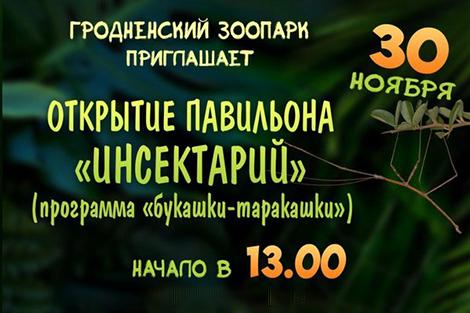 Пауки-птицееды и гигантские кузнечики. В Гродненском зоопарке откроется новый павильон