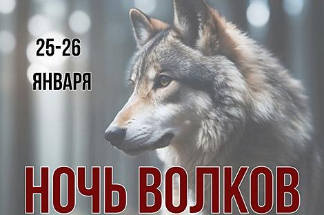 Прогулка по ночному лесу и квест 