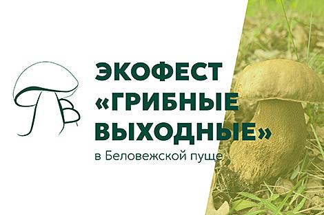 Выставки, экскурсии, тематическое меню. Экофест в Беловежской пуще приглашает на 