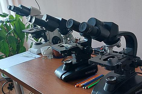 Испечь молекулярные блины, остановить потепление с помощью спрея. Где и как воспитывают молодых биологов