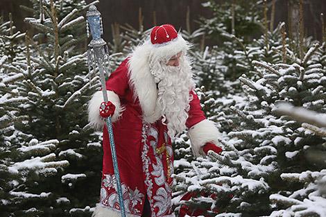 Выбирал елку и ловил золотую рыбку: по Гродненской области путешествует безвизовый турист Дед Мороз