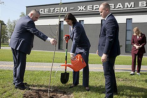 Аллею яблонь заложили на мемориале в Красном Береге в честь 80-й годовщины Победы