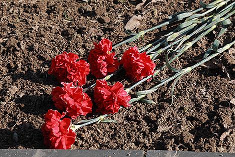 Ни одно захоронение не будет забыто: в Могилеве продолжается акция 