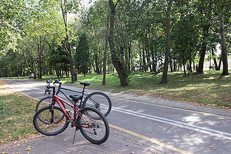 Как развивается инфраструктура для велосипедистов в Минске, рассказали в Мингорисполкоме