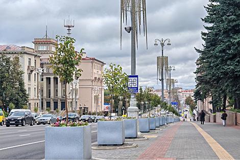 Почему на пр.Независимости деревья 