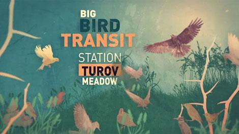 В Беларуси сняли документальный фильм о дикой природе - впервые в формате 4К