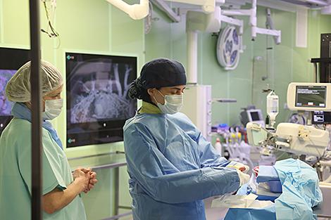 Какие сферы деятельности в Беларуси 