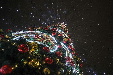 Когда в Беларуси была зафиксирована самая теплая новогодняя ночь, рассказали синоптики