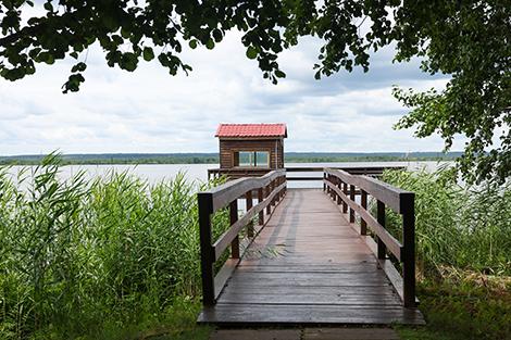 Сон на ульях, музеи, экомаршруты и зоопарк. Узнали, как отдохнуть в Березинском заповеднике