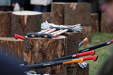 Лукашенко 7 ноября наколол дров и передал привет 