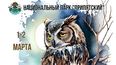 Прогулка по ночному лесу, масленичный костер. Фестиваль 