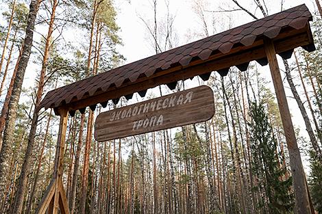 Более 20 новых экотроп создали в лесах Гомельской области в этом году