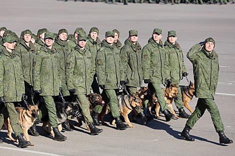 Минобороны: служебные собаки впервые примут участие в военном параде ко Дню Победы