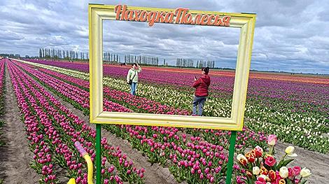 Беларусь на майские праздники посетили более 400 россиян по проекту 