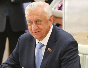 Мясникович: Экономические отношения Беларуси и ЕС выстраиваются не в ущерб России