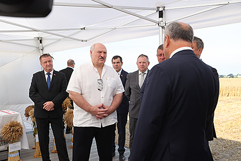 Лукашенко требует не расслабляться после уборки хлебов
