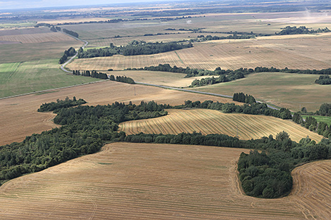Lukashenko warns against delaying land reclamation efforts