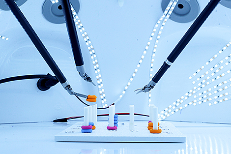 Belarus seeks closer ties with China in medical cluster
