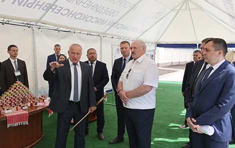 Lukashenko urges rational approach to modernization of Orsha Meat Canning Plant