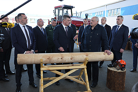 Lukashenko comments on financial performance of Belarus’ woodworking industry