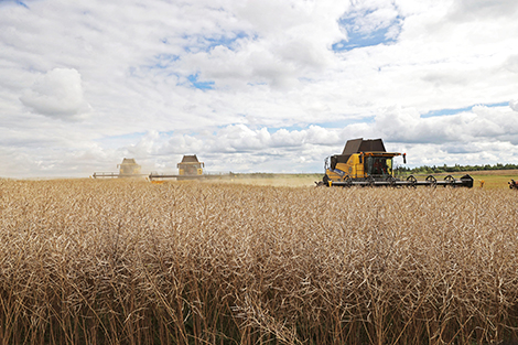 Belarus ready to supply e-buses, farm machines to Russia’s Astrakhan Oblast