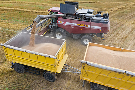 Gomselmash boosts harvester sales to Russia’s Omsk Oblast