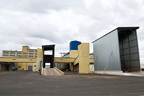 Lukashenko commends new feed mill project in Shklov