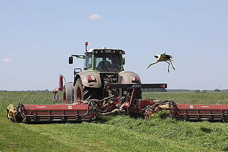 Lukashenko warns against negligence in agriculture