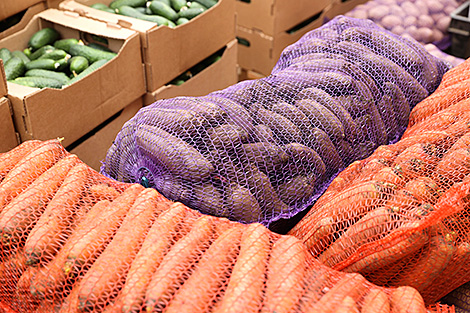 Belarus’ vegetable harvest reaches 179,000 tonnes