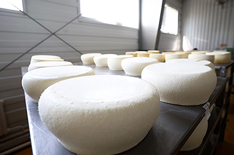 Lukashenko makes unscheduled visit to cheese facility in Kopys