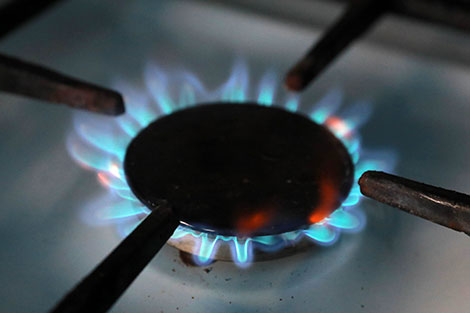Belarus president in favor of more adaptive price for natural gas