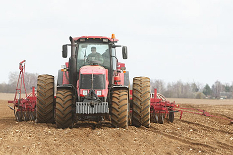 Winter sowing in Belarus over 80% complete