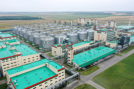 Belarusian biotechnology firm to reach full capacity for fodder, amino acids in September