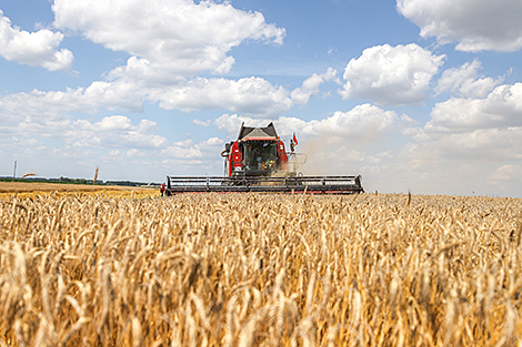 Lukashenko: Much work is ahead to finish harvest and to be confident in the future