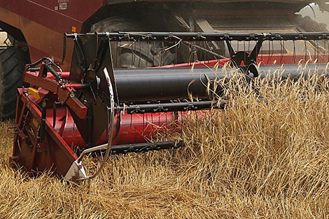 Belarusian combine harvesters help Zimbabwean farmers to crop record-high harvest