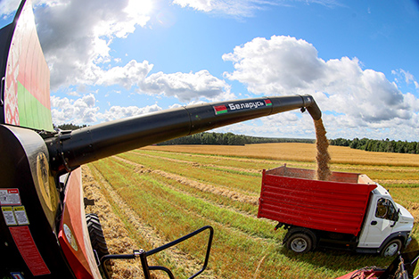Lukashenko urges to maintain this year’s grain harvest levels