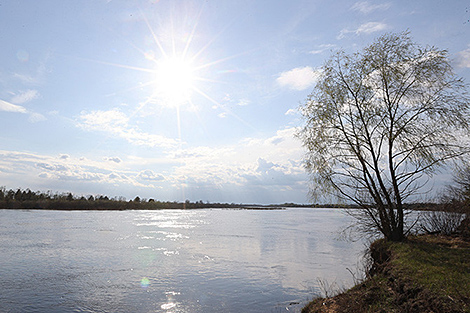 Lukashenko urges to develop Polesie reserve