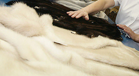 Belarus might sell mink fur to China