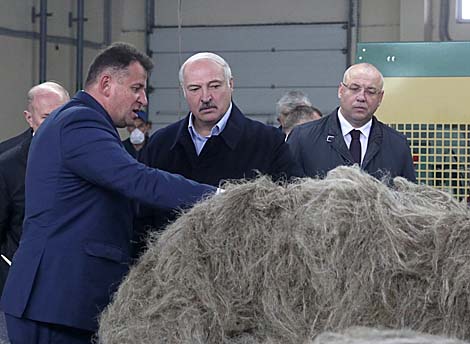 Lukashenko: Decision to develop the flax industry was right