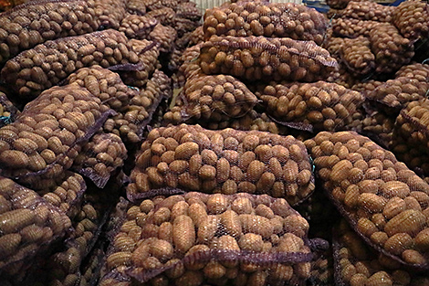 Belarus annually exports some 400,000 tonnes of potatoes