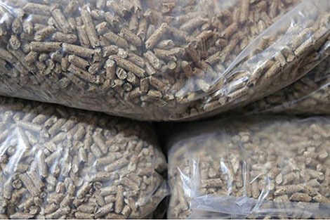 Construction of boilers, export of pellets. What Belarus can offer to SCO partners in energy sector